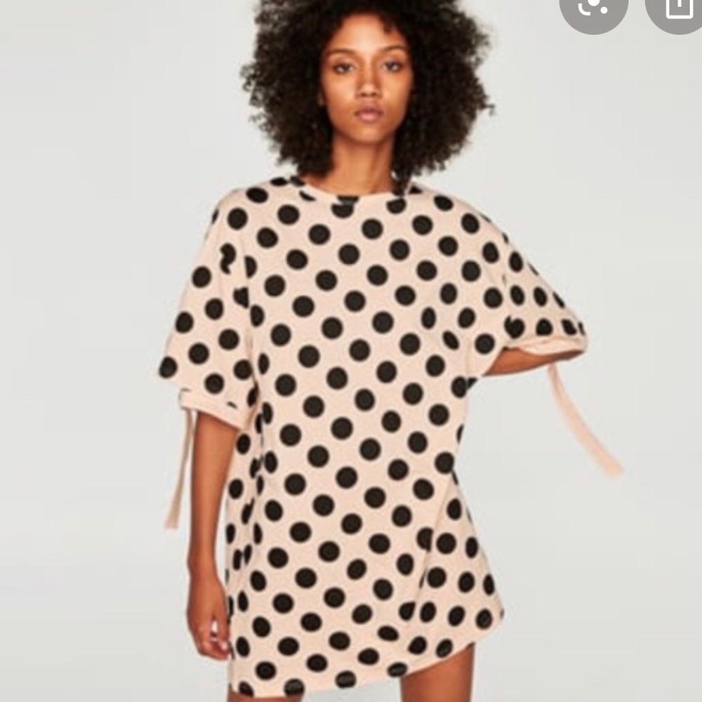 Zara Polka dot dress